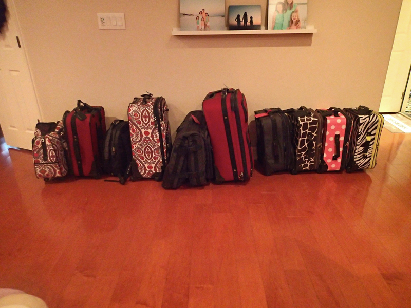 Disney cruise luggage