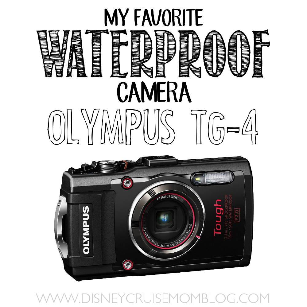 Olympus camera review