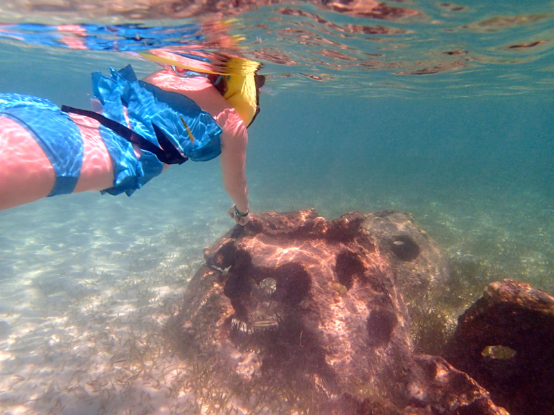 All about snorkeling at Castaway Cay on a Disney Cruise
