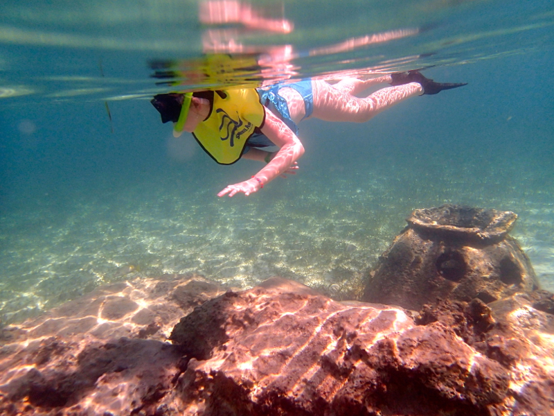 All about snorkeling at Castaway Cay on a Disney Cruise