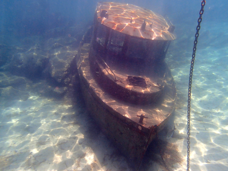 All about snorkeling at Castaway Cay on a Disney Cruise