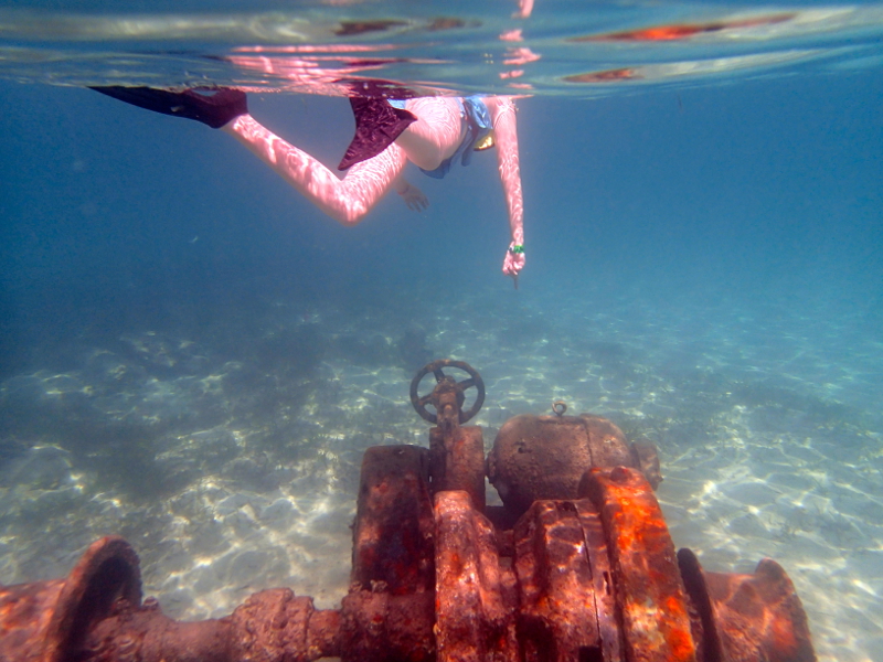 All about snorkeling at Castaway Cay on a Disney Cruise