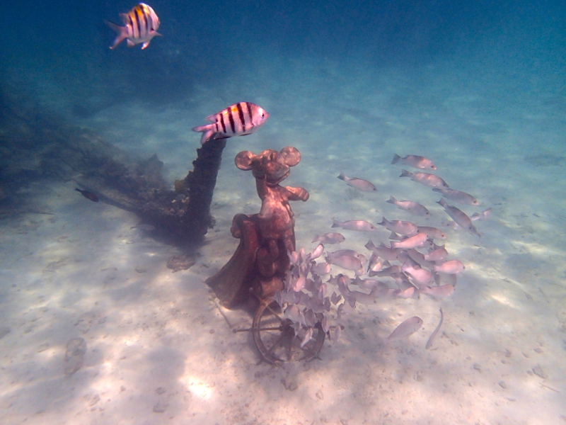 All about snorkeling at Castaway Cay on a Disney Cruise