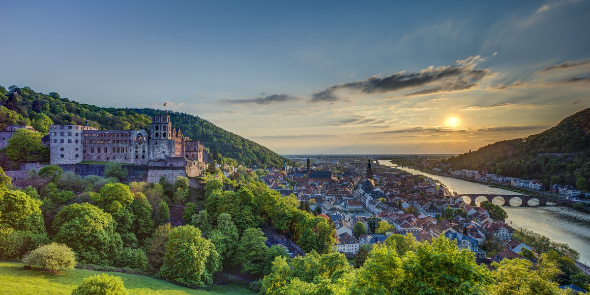adventures by disney rhine river cruise