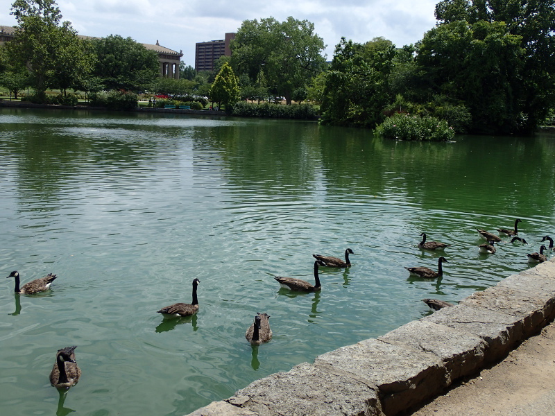 Centennial Park Nashville