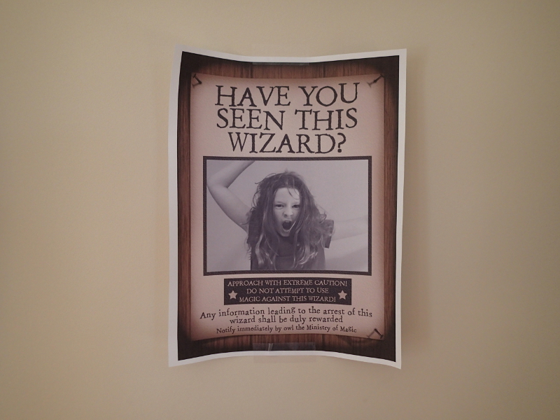 Harry Potter Party