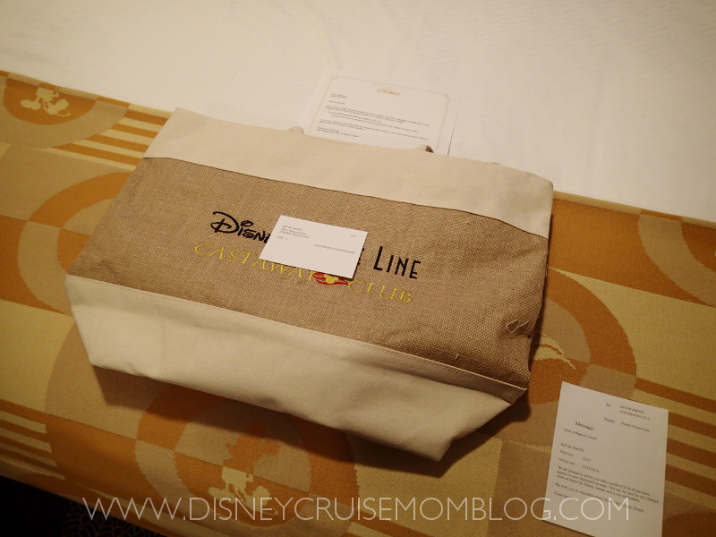 Disney cruise Castaway Club gift