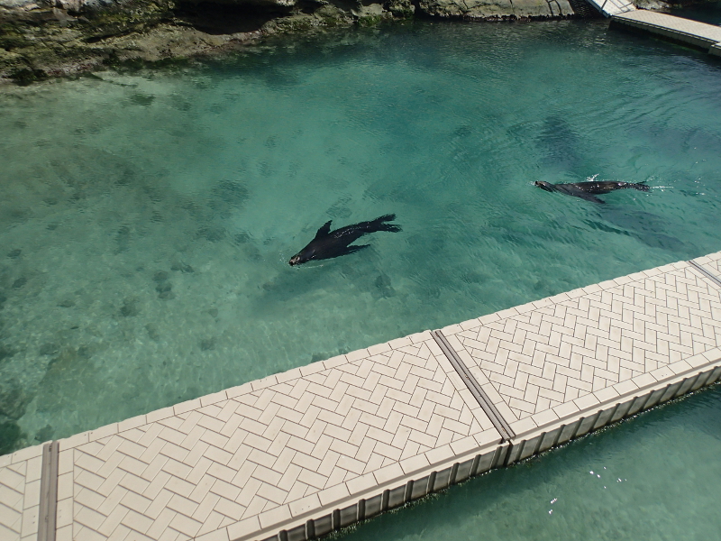 Blue Lagoon excursion Nassau