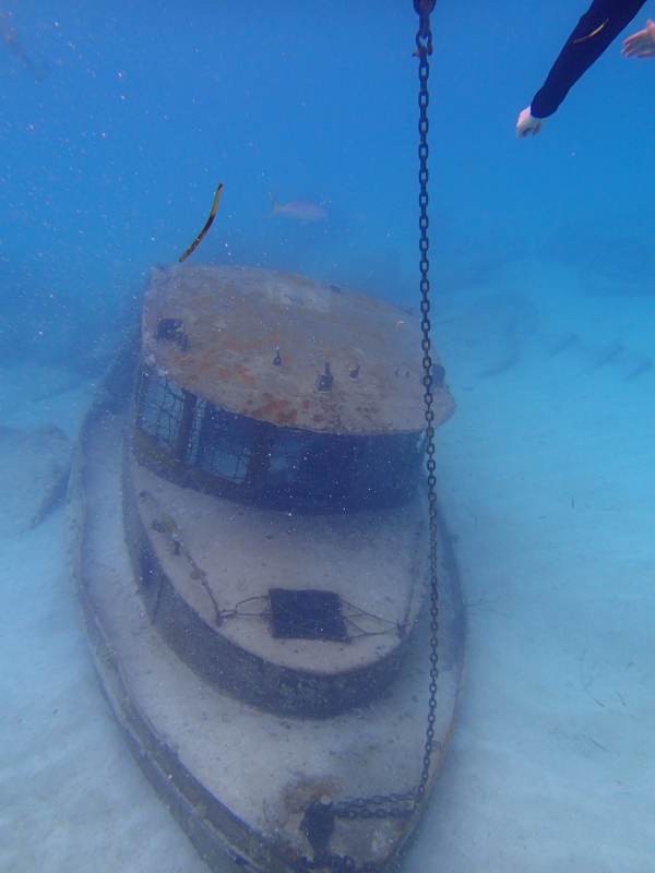 castaway cay snorkeling