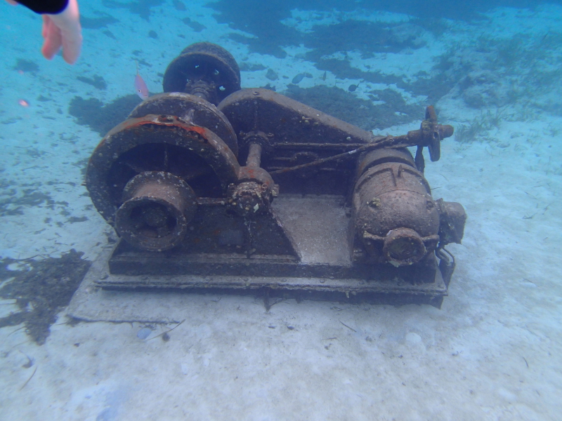 castaway cay snorkeling