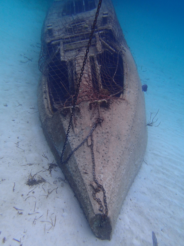 castaway cay snorkeling