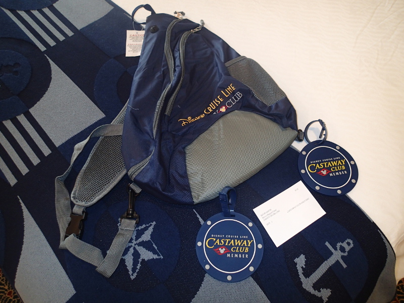 Disney Cruise Castaway Club gift