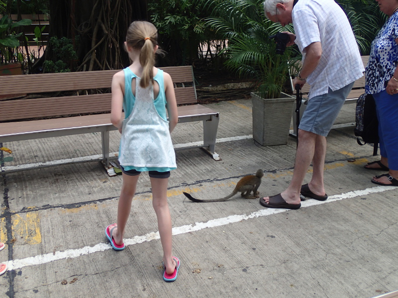 Disney Cruise Cartagena Colombia