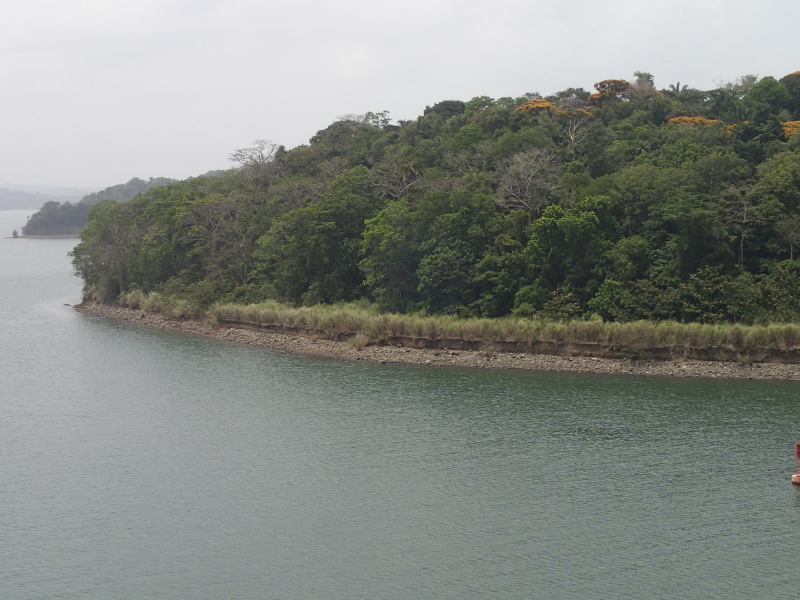 Disney Cruise Panama Canal Trip Report