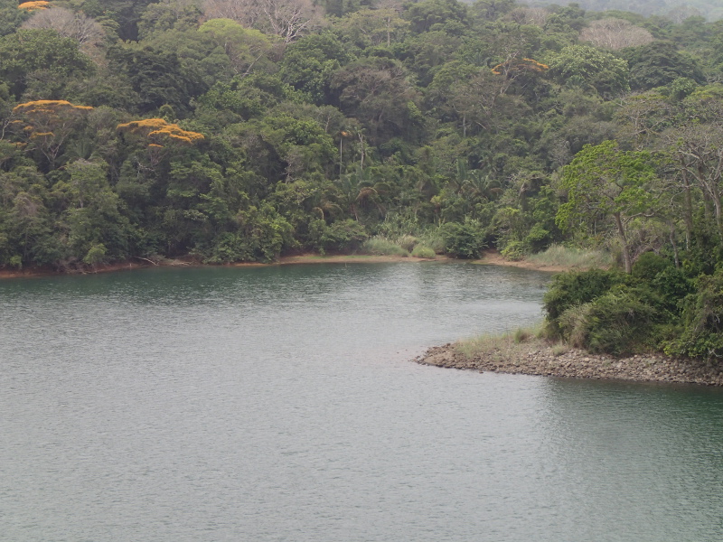 Disney Cruise Panama Canal Trip Report