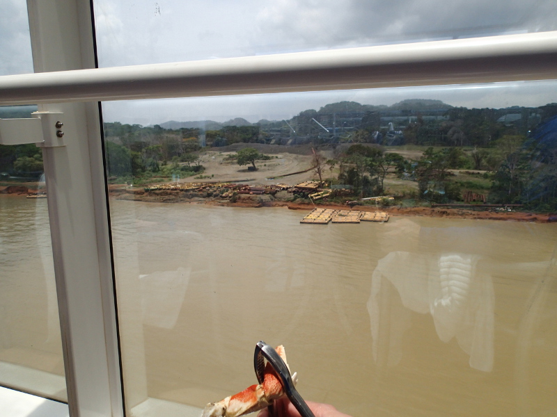 Disney Cruise Panama Canal Trip Report