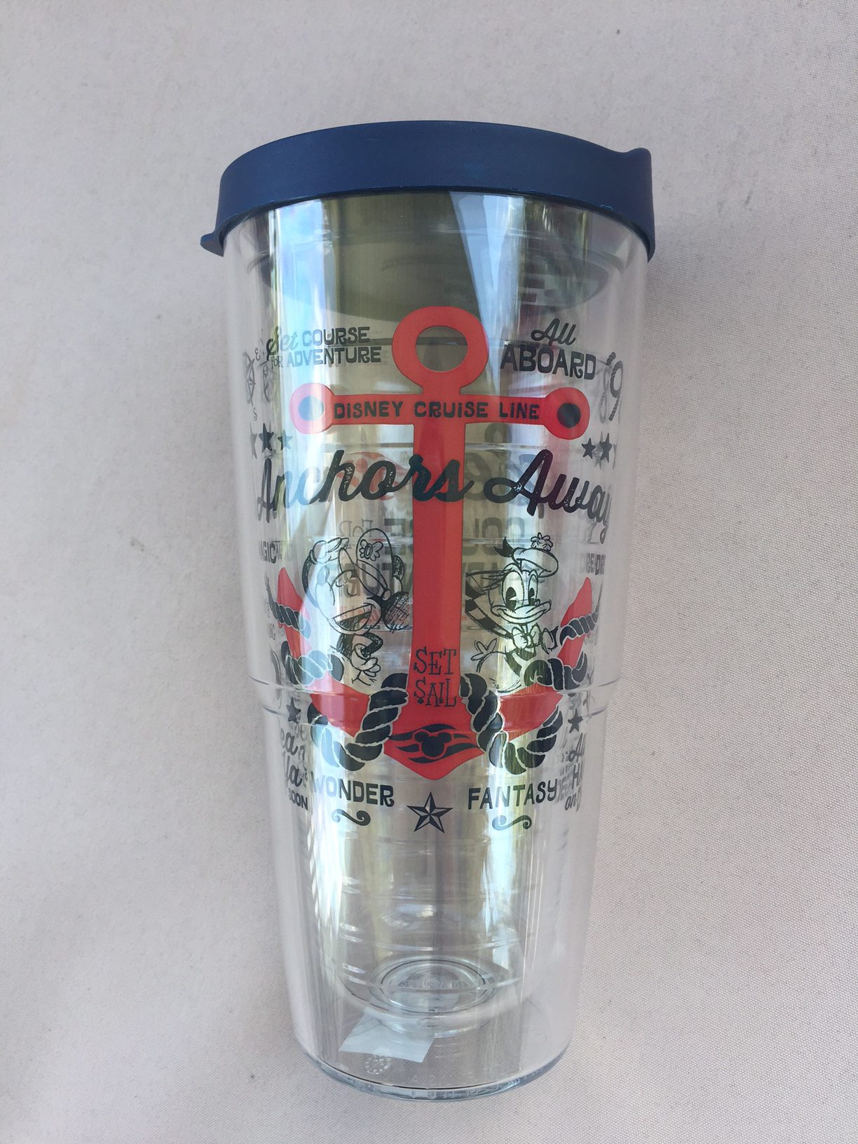 Disney Cruise Tervis