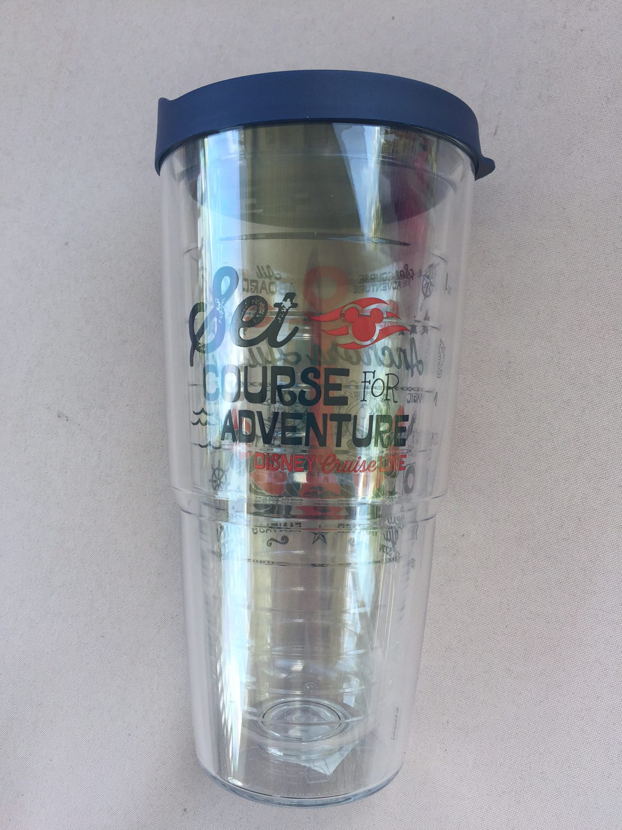 Disney Cruise Tervis