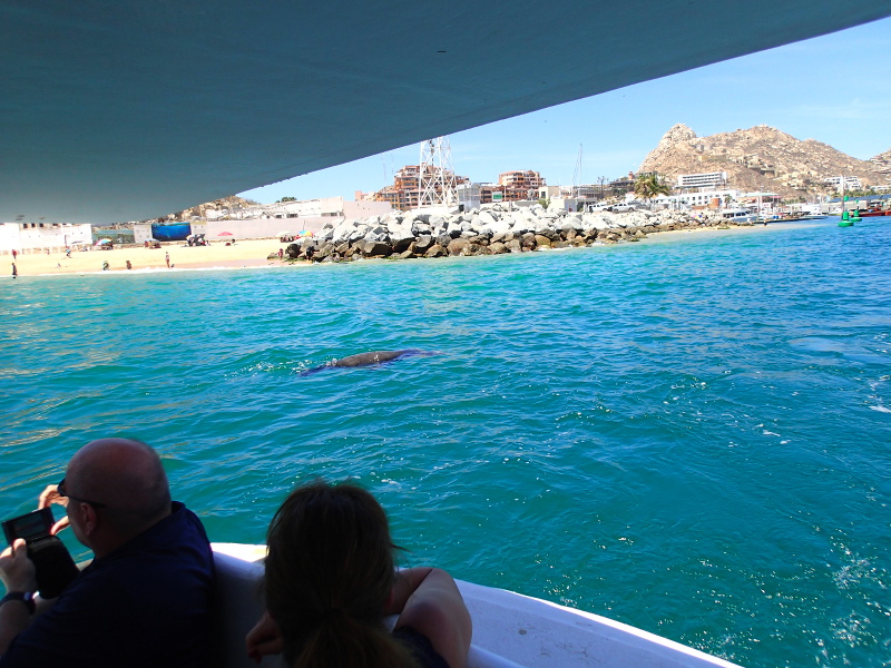 Disney cruise Cabo San Lucas