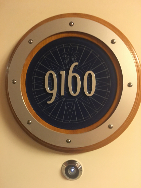 Disney Dream room 9160