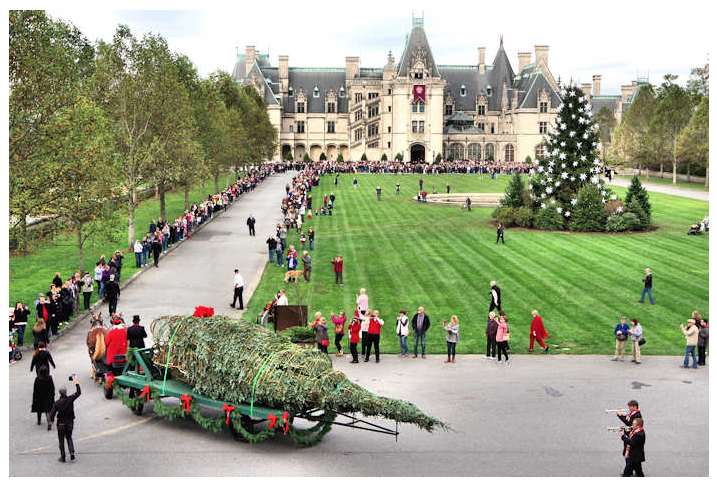 Biltmore Christmas Tree