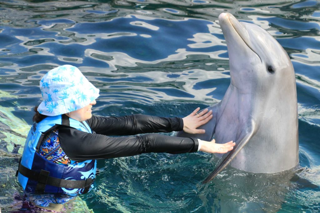 Cozumel Dolphin Discovery Chankanaab Disney Cruise