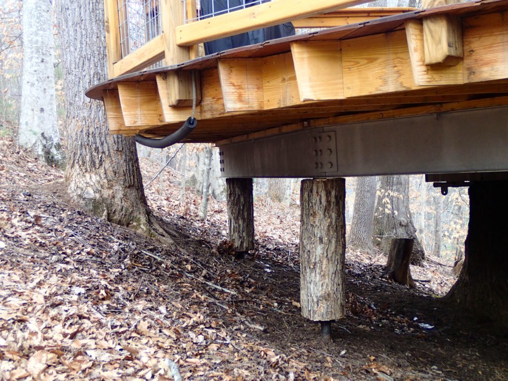 Carolina Jewel Treehouse