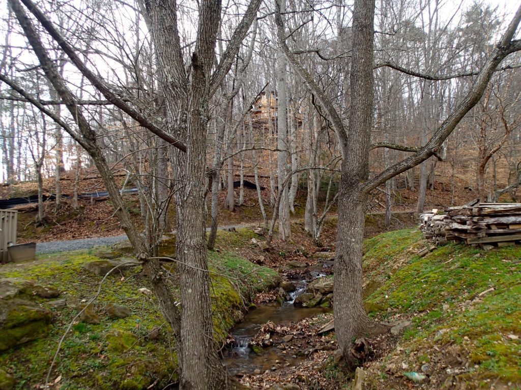 Carolina Jewel Treehouse