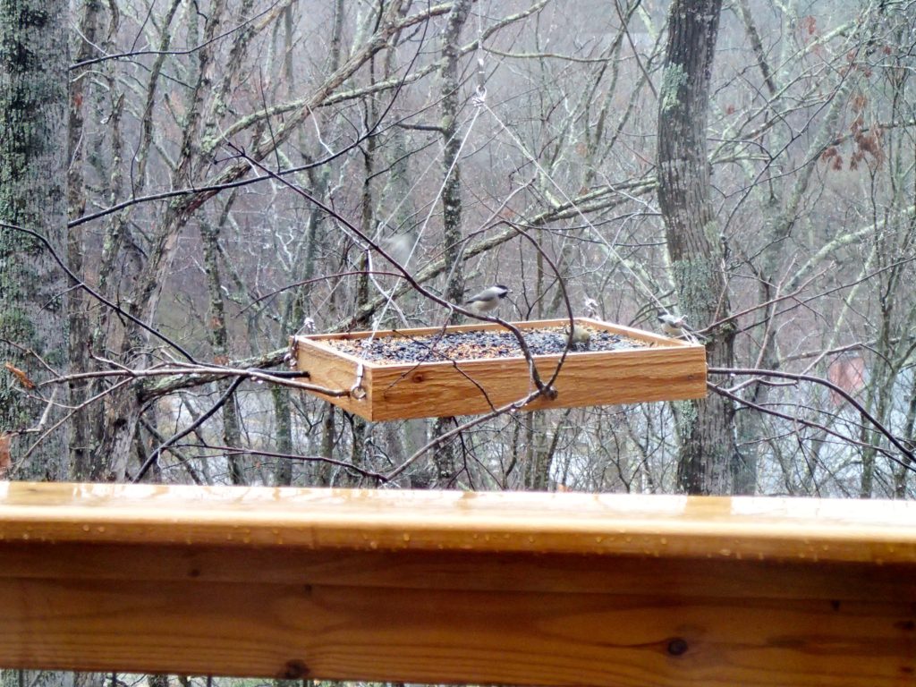 Carolina Jewel Treehouse