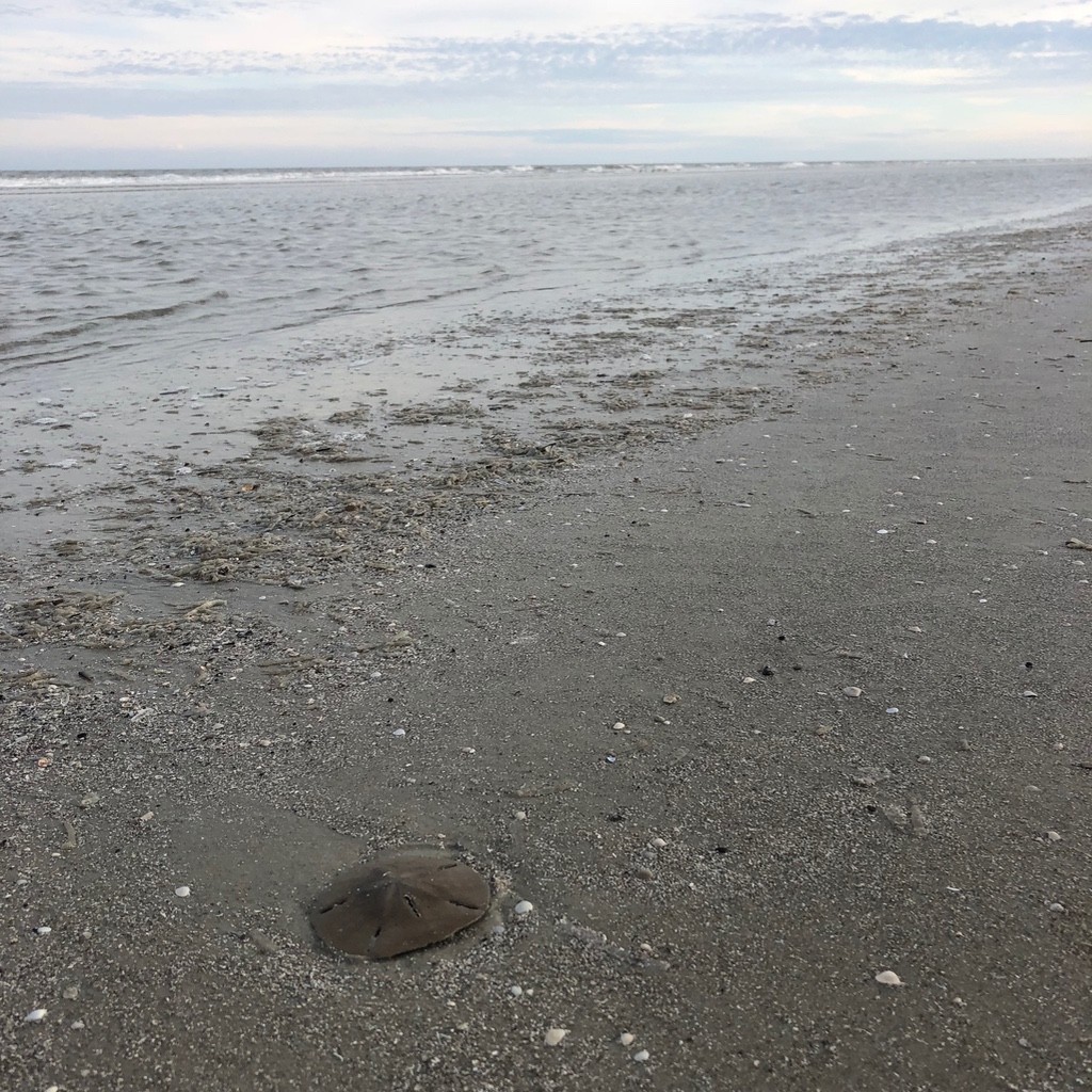 Holiday Inn Resort Jekyll Island