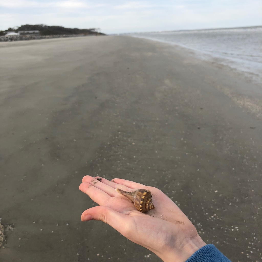 Holiday Inn Resort Jekyll Island