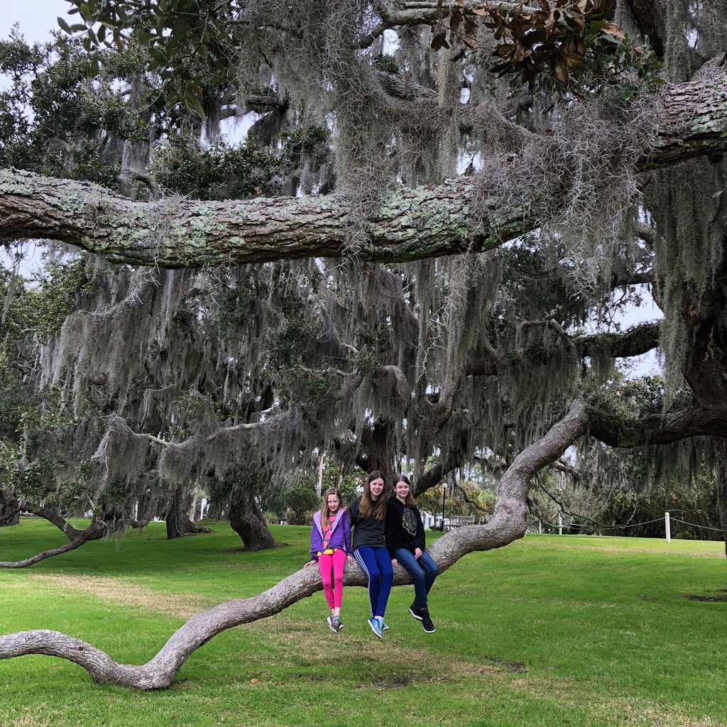 Jekyll Island trip report