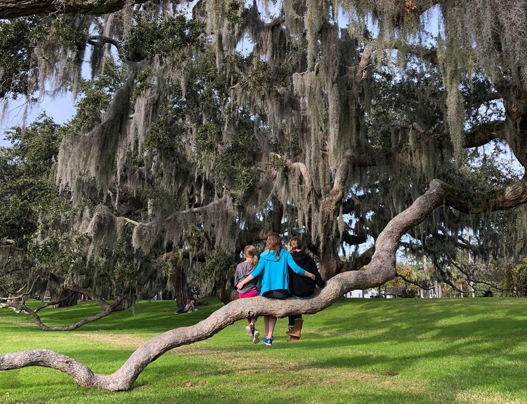 Jekyll Island trip report