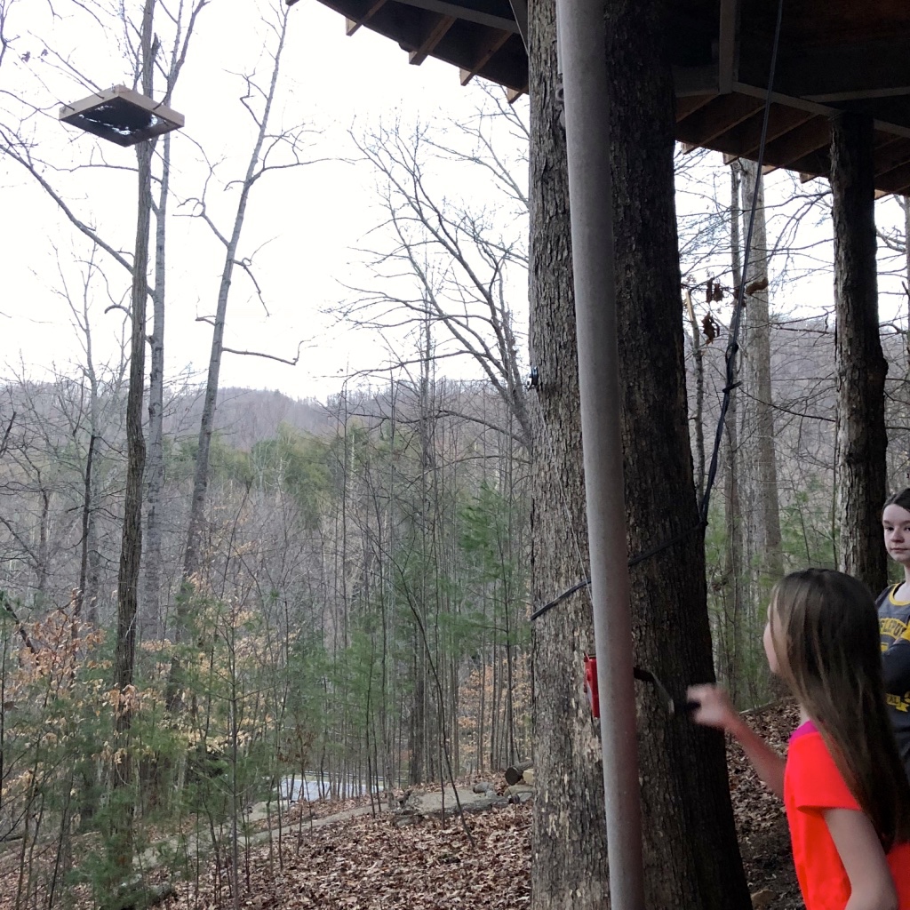 Carolina Jewel Treehouse