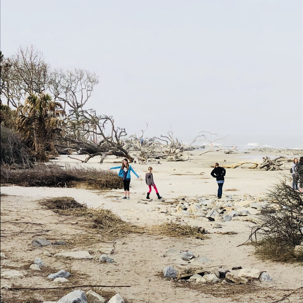 Jekyll Island trip report