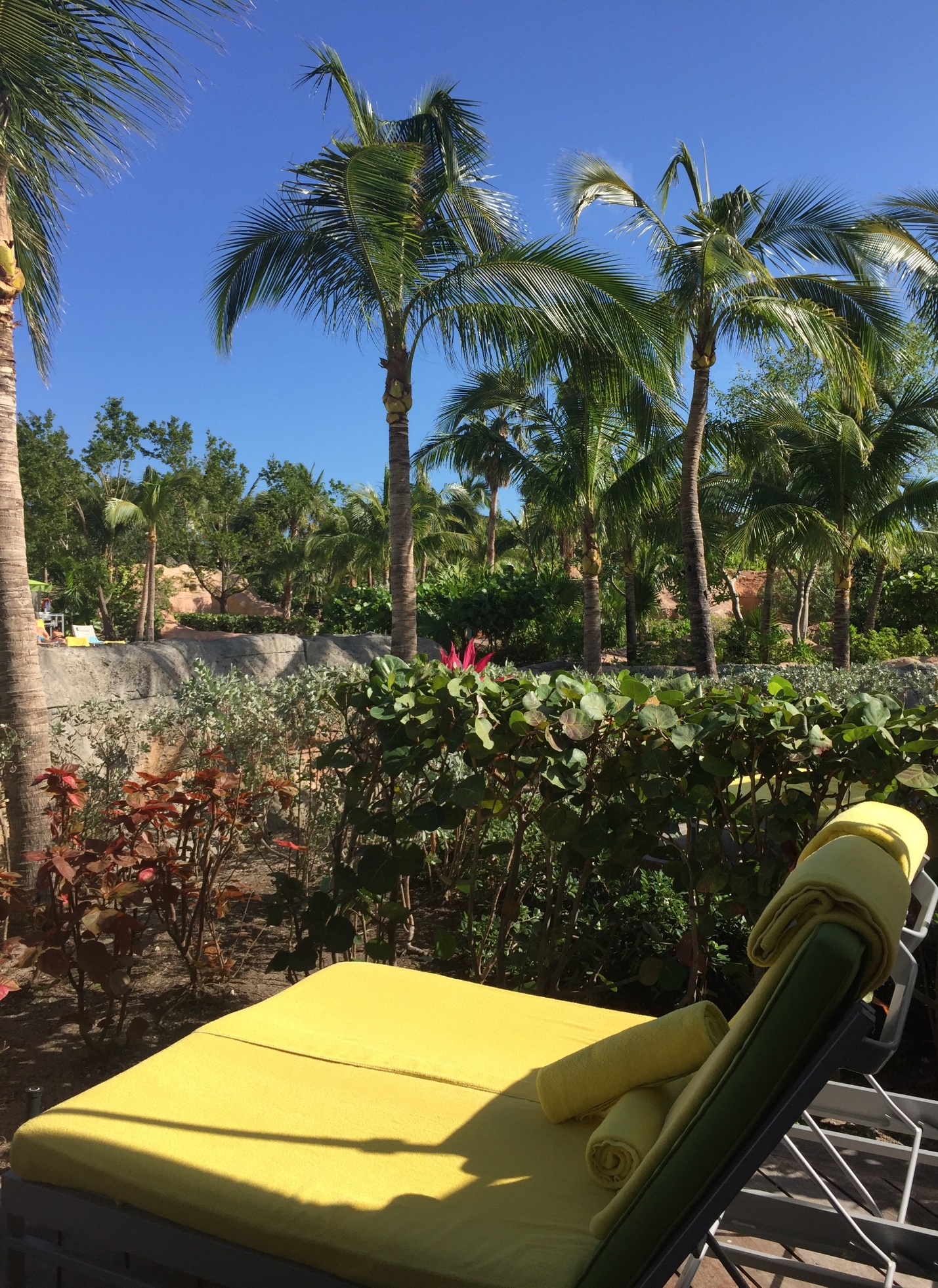 Excursion Review Atlantis Aquaventure and Private Cabana at Atlantis Through Disney Cruise Line