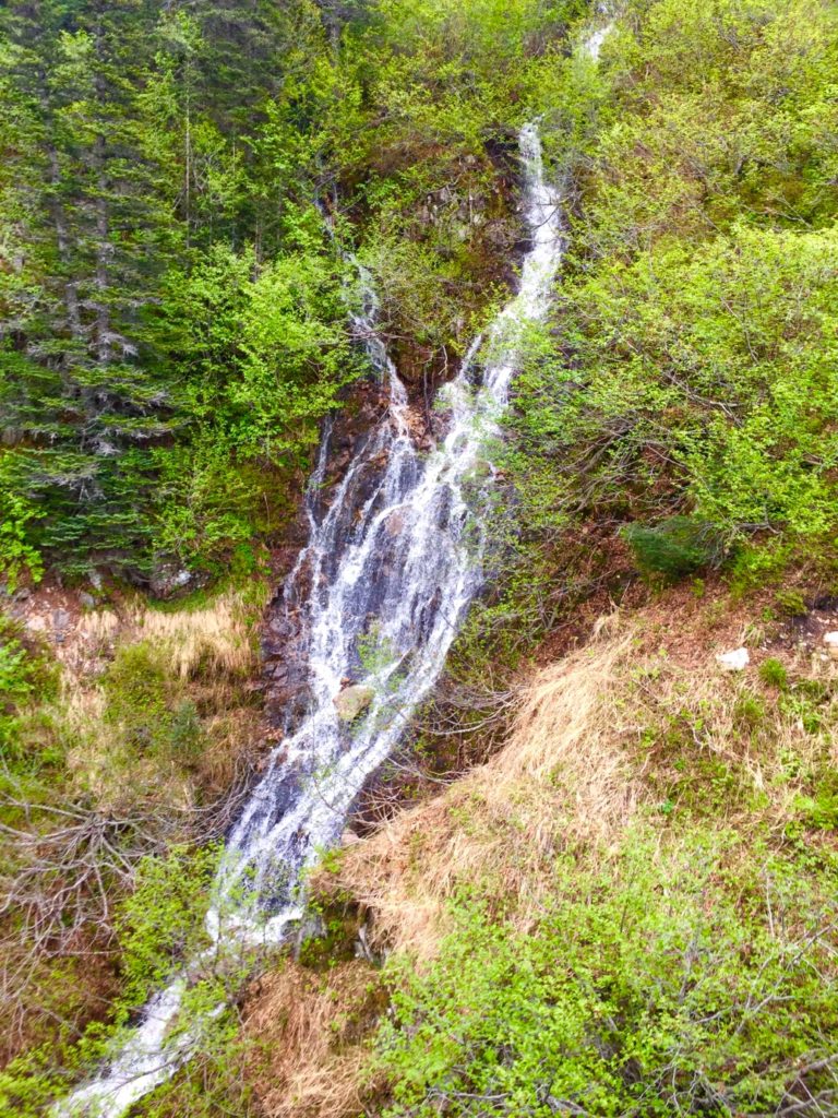 Disney cruise Alaska