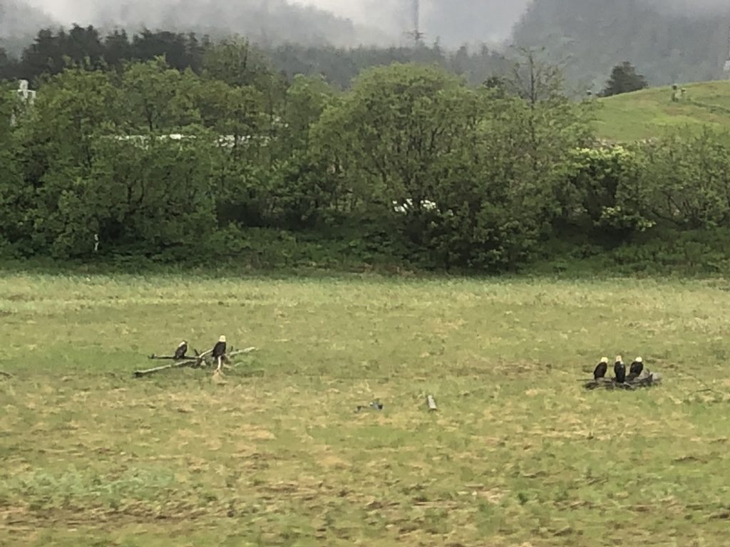 Disney cruise Alaska Trip Report Juneau