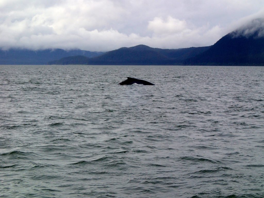 Disney cruise Alaska Trip Report Juneau