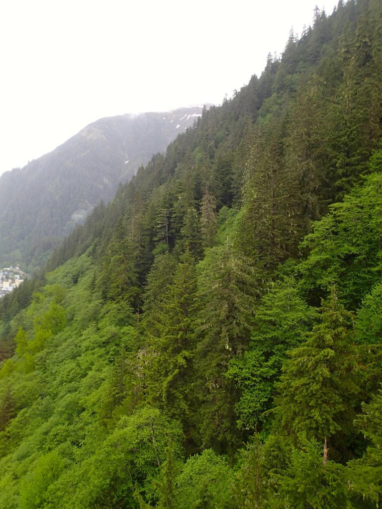 Disney cruise Alaska Trip Report Juneau