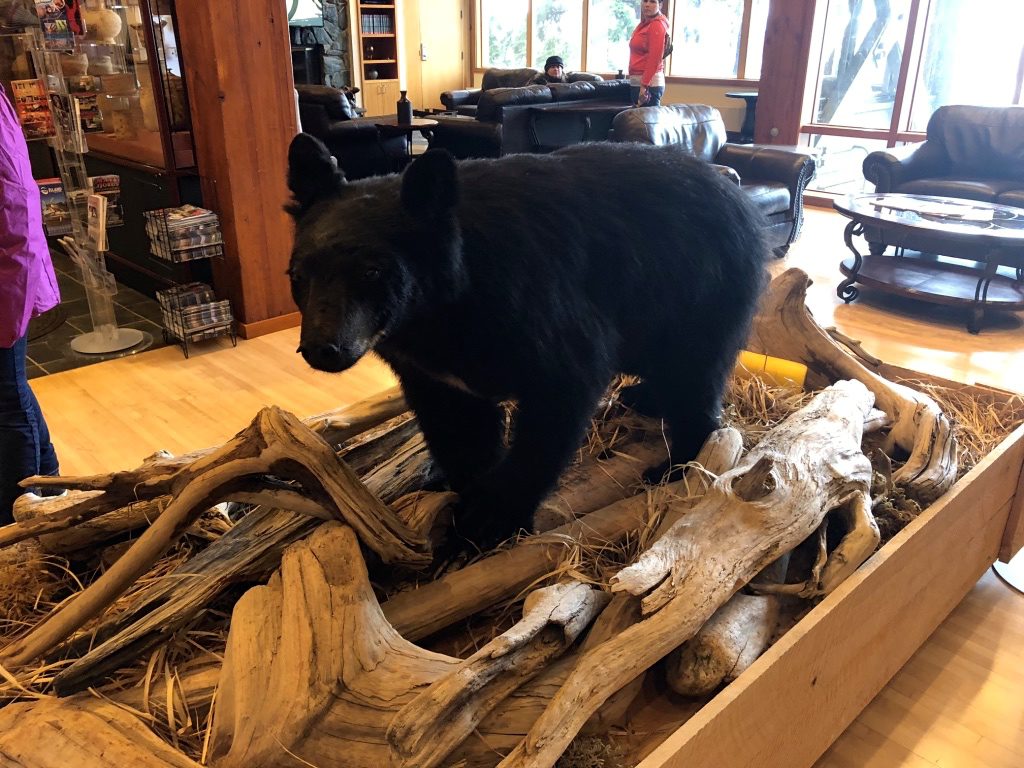 Disney cruise Alaska Trip Report Ketchikan