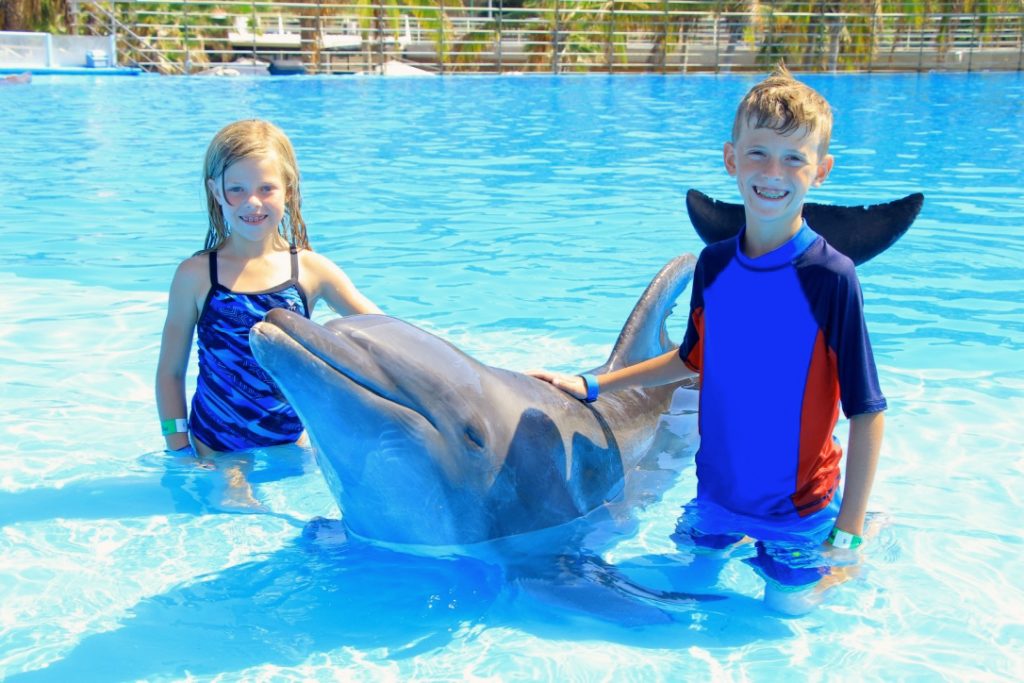Disney Cruise Cabo Dolphin Swim Review