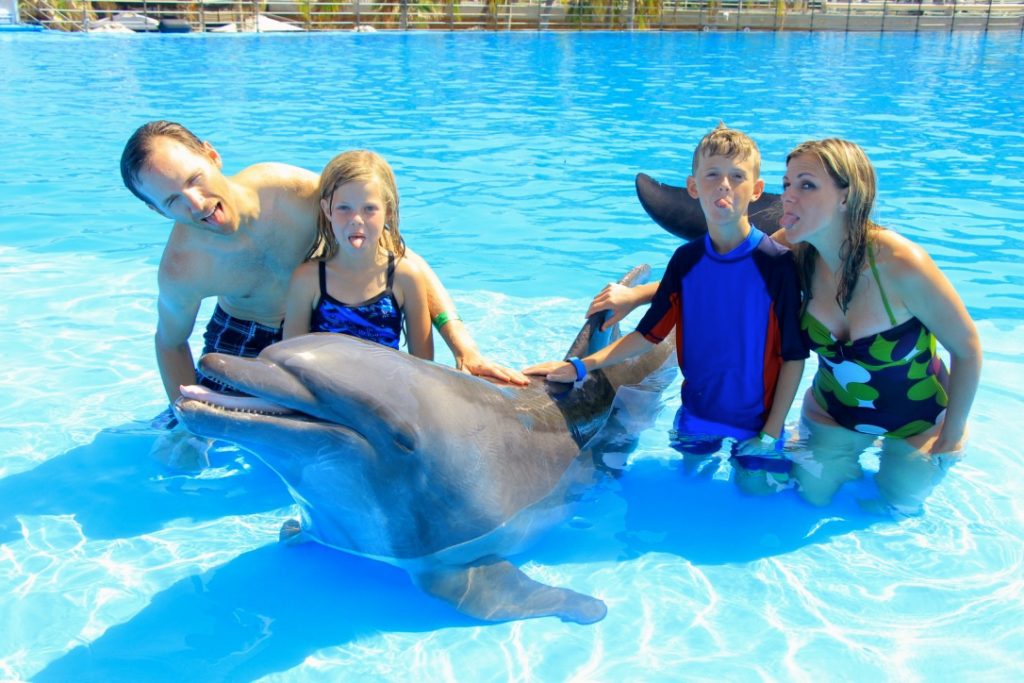 Disney Cruise Cabo Dolphin Swim Review