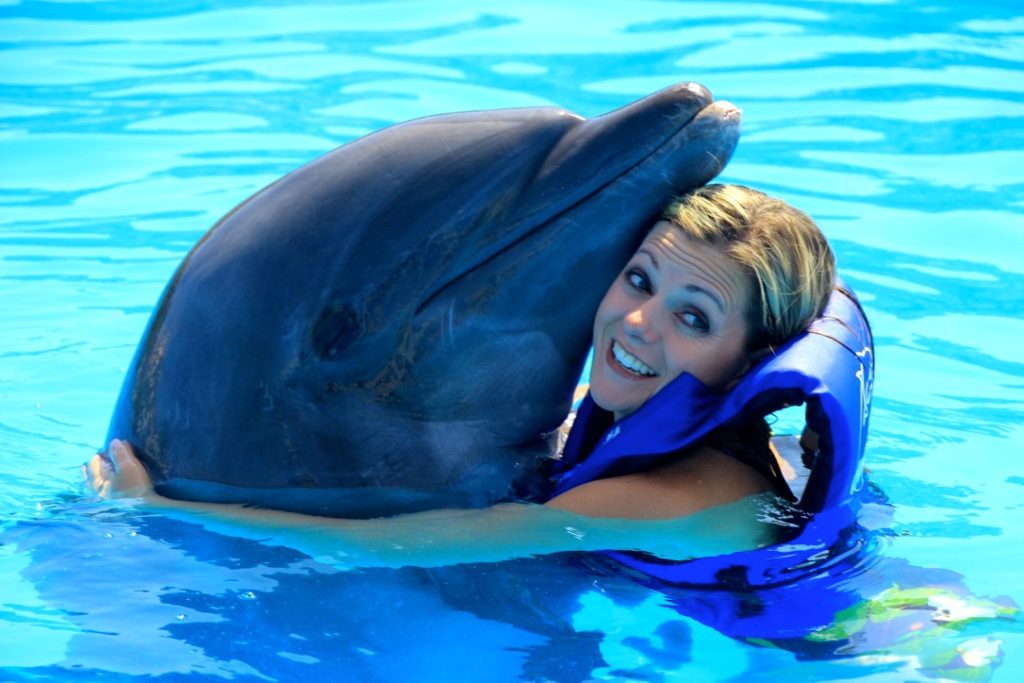 Disney Cruise Cabo Dolphin Swim Review