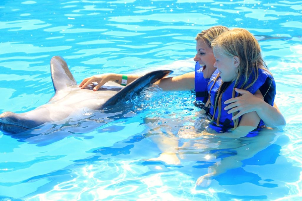 Disney Cruise Cabo Dolphin Swim Review