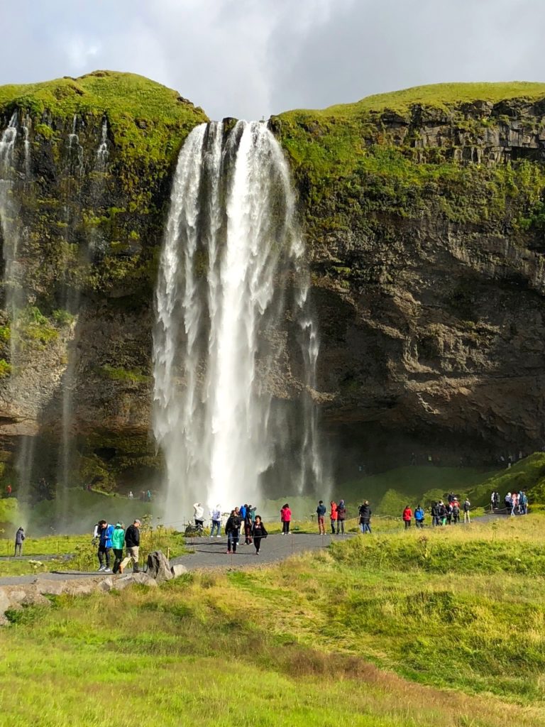 Norwegian Fjord Iceland Trip Report Disney Magic