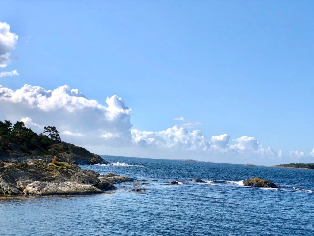 Norwegian Fjord Iceland Trip Report Disney Magic