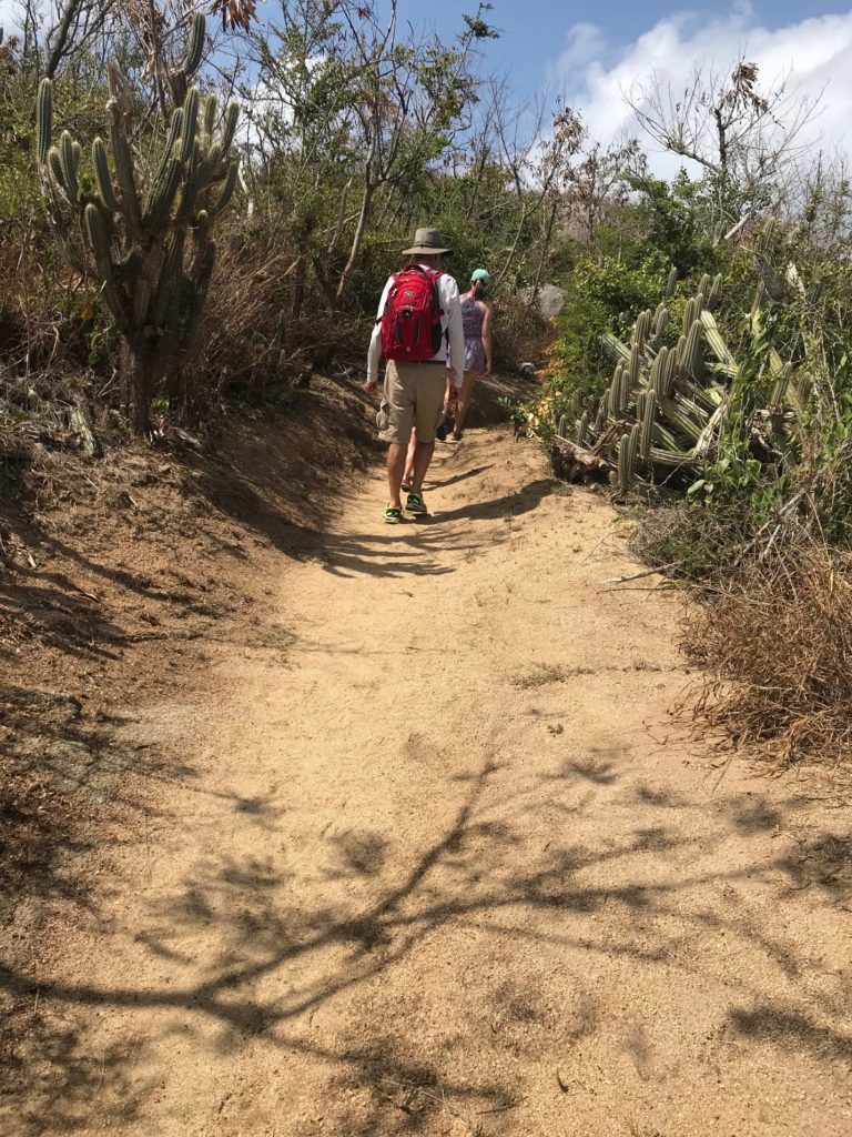 Disney Cruise Tour to Virgin Gorda Port Adventure