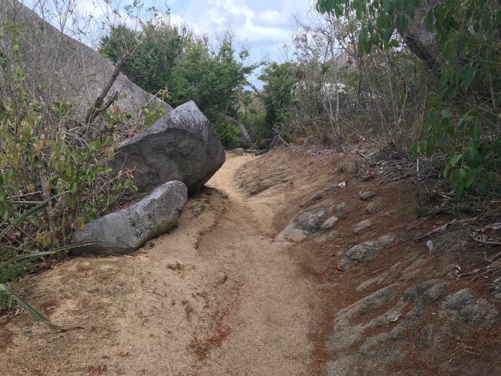 Disney Cruise Tour to Virgin Gorda Port Adventure