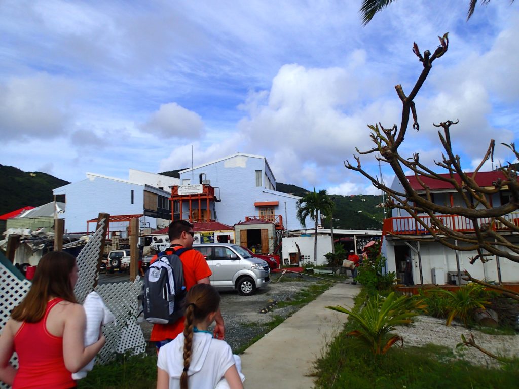 Tortola St. Thomas cruise excursion island roots